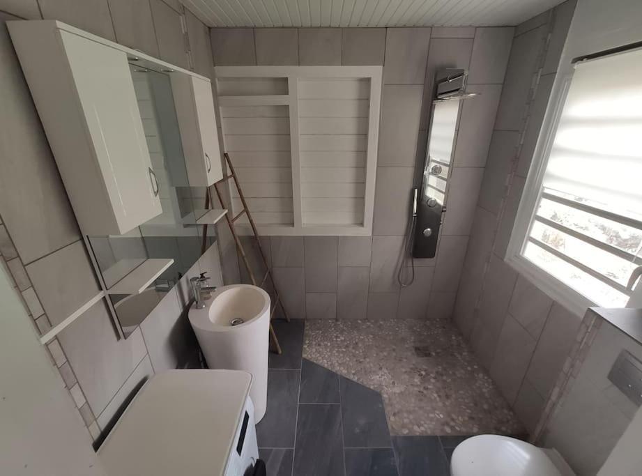 Appartement F3 Ventile Le Robert Exterior foto